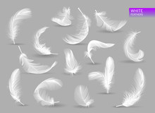 Realistic Feathers. White Bird Falling Feather Isolated On White Background Vector Collection. Illustration Of Feather Bird, Soft White Plume