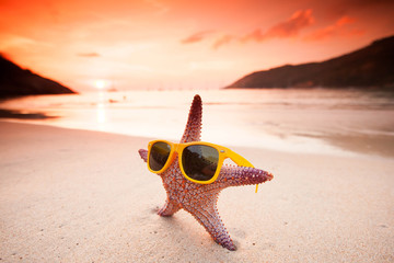 Wall Mural - Starfish on tropical beach