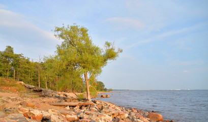 Canvas Print - Coast of sea at sunny day.