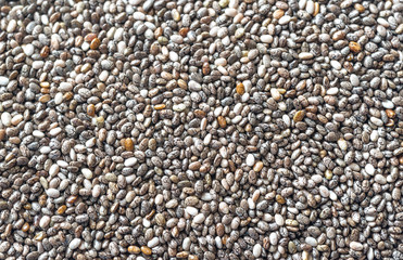 Sticker - Chia seeds: top view