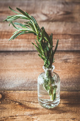 Poster - Fresh rosemary in vial