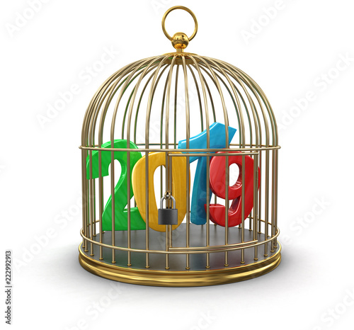 Fotografie, Obraz Gold Cage with 2019. Image with clipping path