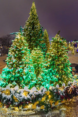 Wall Mural - Snow-covered christmas trees at night. Moscow. Russia