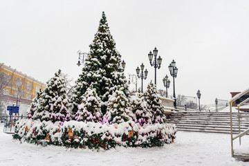 Wall Mural - Snow-covered christmas on Manezhnaya square. Moscow. Russia