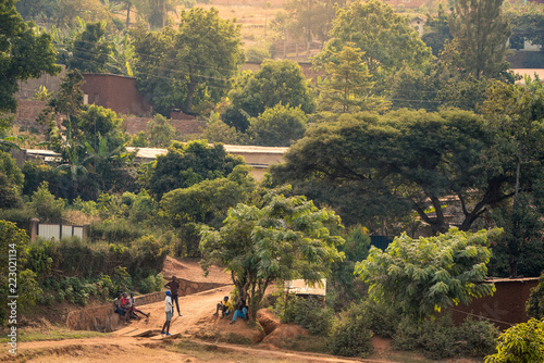 Cuadros en Lienzo View of bakclit trees and dirt paths on a hillside in Nyamirambo, an outlying, s
