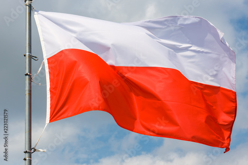 Dekoracja na wymiar  polska-flaga-na-tle-blekitnego-nieba-zblizenie