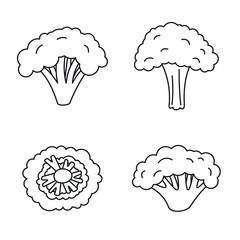 Poster - broccoli plant icon set. outline set of broccoli plant vector icons for web design isolated on white