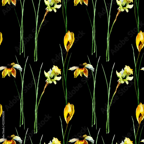 Seamless pattern with crocus, gerber and narcissus flowers