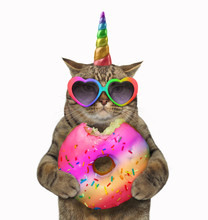 The Cat Unicorn Is Eating A Big Bitten Rainbow Donut White Background.