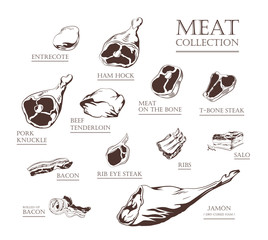 Wall Mural - Collection of hand drawn vintage style food ingredients. Outline retro illustrations of meat, ham, pork, beef, lamb, bacon, ribs, steak, tenderloin. Vector icons, emblem and logo elements.
