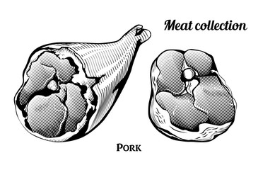 Wall Mural - Engraving style collection of meat food ingredients. Line art vintage illustration of ham hock and pork chop. Vector