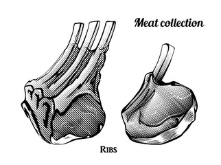 Wall Mural - Engraving style collection of meat food ingredients. Line art vintage illustration of ribs and rib eye steak. Vector