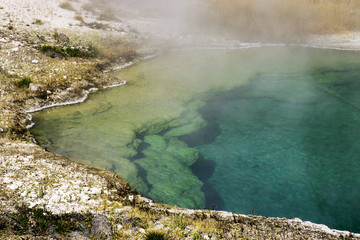 Wall Mural - West Thumb Geyser Basin Blue,Green and Yellow, Yellostone National Park, Wyoming