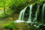 Fototapeta Las - 兵庫県・霞立つ猿壺の滝