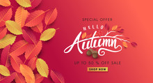 Autumn Sale Background Layout Decorate With Leaves Of Autumn For Shopping Sale Or Promo Poster And Frame Leaflet Or Web Banner.Vector Illustration Template.