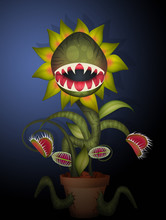 Funny Carnivorous Plant