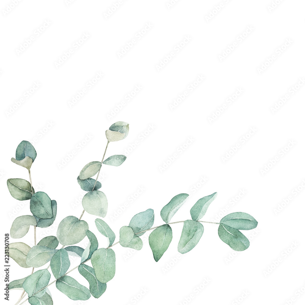 Foto-Plissee zum Schrauben - Watercolor floral card with eucalyptus branch. Hand drawn botanical illustration. Art background