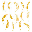 Set of simple wheats ears icons and grain design elements for beer, organic wheats local farm fresh food, bakery themed wheat design, grain, beer elements, wheat simple. Vector illustration