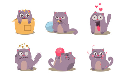 Grey mischievous cat in different situations with various emotions set, funny animal character vector Illustration on a white background