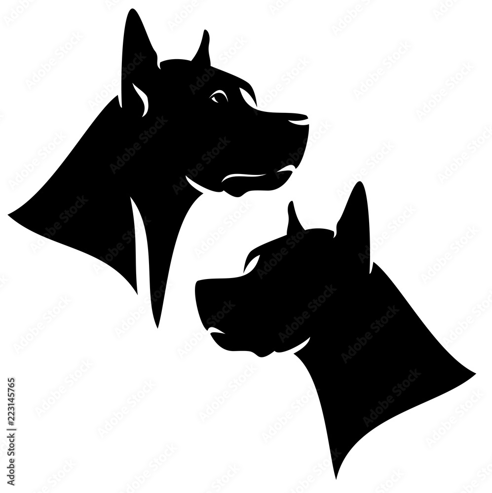 great dane profile head black silhouette - dog vector portrait - obrazy, fototapety, plakaty 