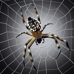 Spider web. Illustration of spider with spider web on dark background
