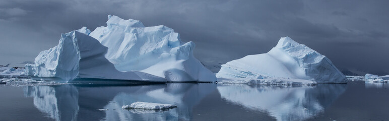 Reflected Iceburges