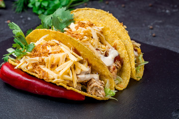 Wall Mural - Mexican tacos with chicken