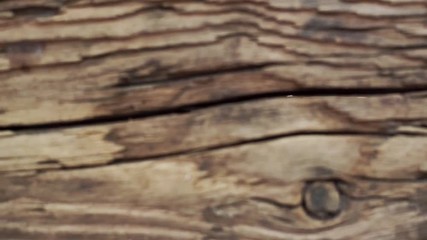 Aufkleber - Old Wood Texture Vintage Background. Dark background. Camera moves. Close up.
