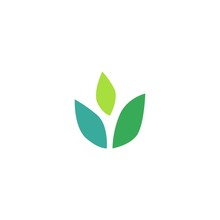 Three Leaves Leaf Logo Vector Icon Design Inspiration