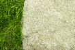 Grass and big stone copy space