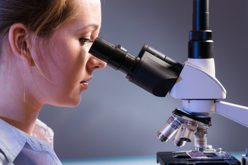 Wall Mural - Young scientist using a microscope in a laboratory