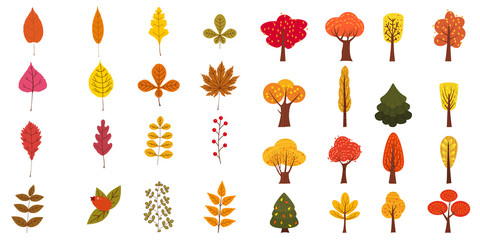 Set of cute colorful autumn leaves trees, and berries. Yellow, orange, red, brown colors. Isolated on white background. Simple cartoon flat style. vector illustration.