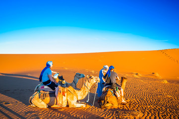 persons doing camel trek in the desert of morocco next to m'hamid