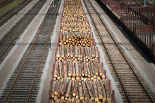Timber Train
