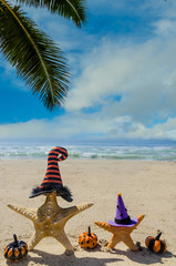 Halloween background on the beach with starfishes in witch's hats