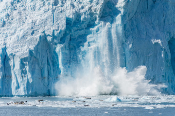 An Actively Calving Glacier in Gulf of Alaska