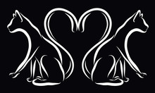 Two Cats With A Heart Of Tails On A Black Background