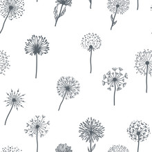 Dandelion Old Plant With Seeds Sketches Outline,  Pattern Vector