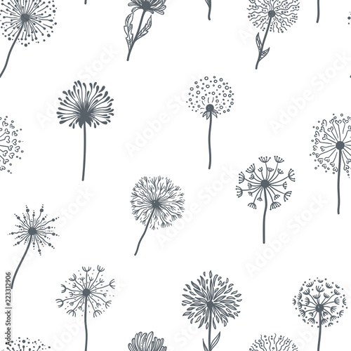 dandelion-stara-roslina-z-ziarnami-kresli-kontur-deseniowy-wektor