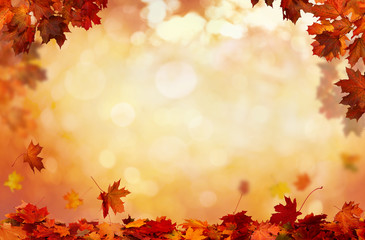 beautiful landscape . colorful foliage in the park. falling leaves natural background .