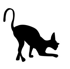 Wall Mural - vector, isolated silhouette cat, icon