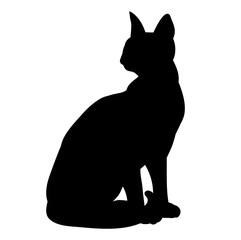 Wall Mural - vector, isolated cat, pet, silhouette