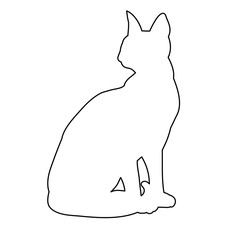 Wall Mural - cat contour on white background