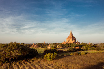 Buddha temple in the sunset dawn