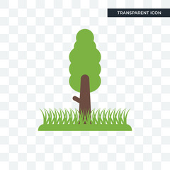 Canvas Print - tree vector icon isolated on transparent background, tree logo design