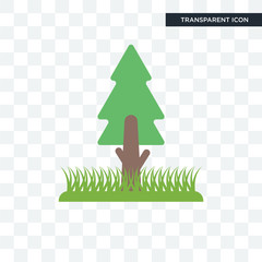 Canvas Print - tree vector icon isolated on transparent background, tree logo design