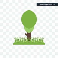 Poster - tree vector icon isolated on transparent background, tree logo design