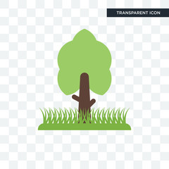 Poster - tree vector icon isolated on transparent background, tree logo design