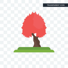 Maple Tree Vector Icon Isolated On Transparent Background, Maple Tree Logo Design
