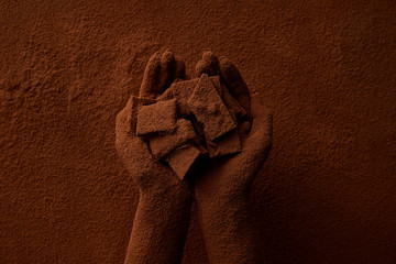 Wall Mural - cropped shot of person holding chocolate pieces and cocoa powder